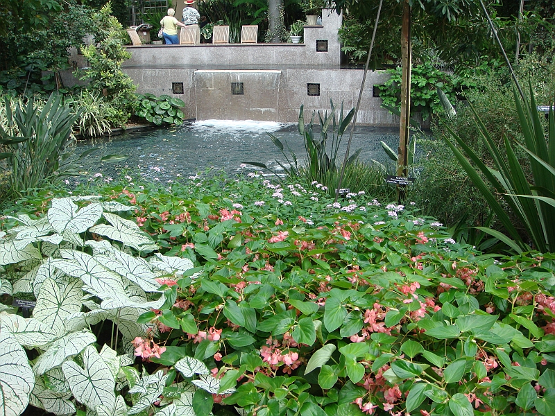 248 Longwood Gardens [2008 August 23].JPG - Longwood Gardens in Pennsylvania